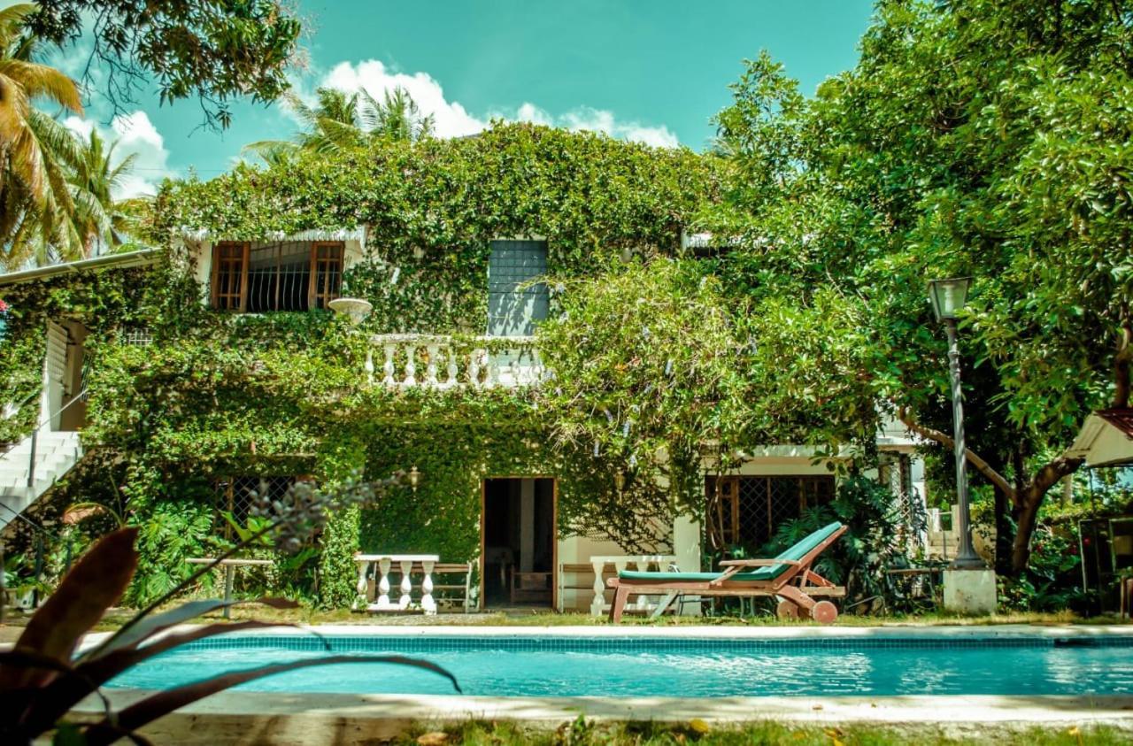 Villa Carolina Bed And Breakfast Пуэрто-Плата Экстерьер фото